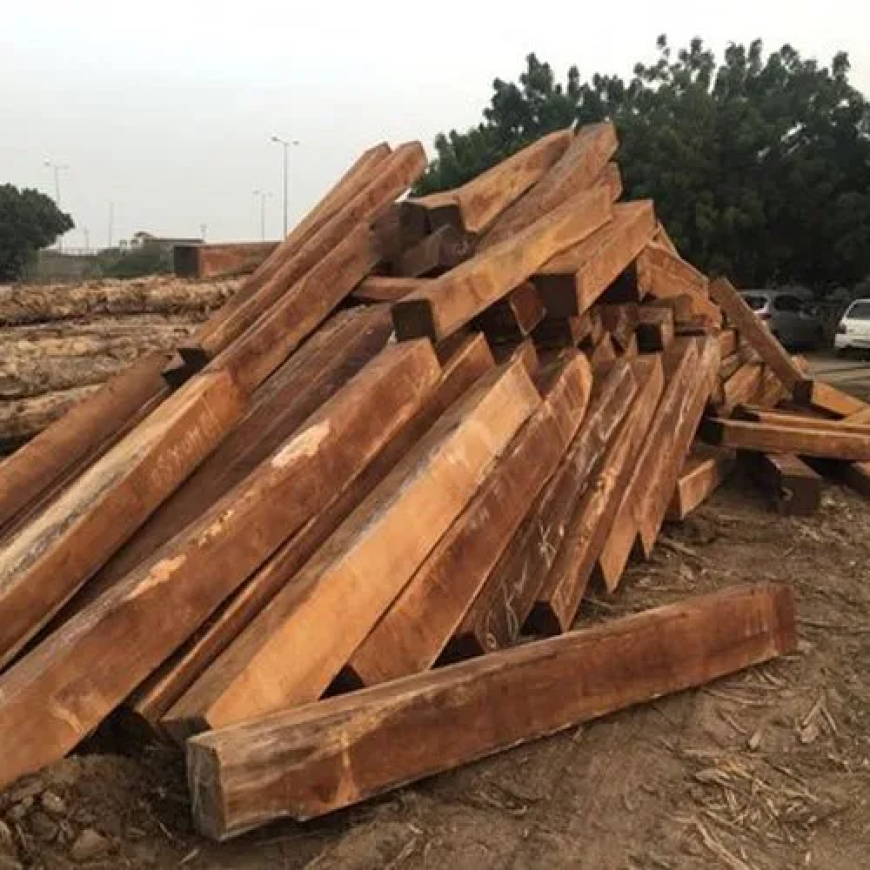 Exploring Kikar Wood Price in Pakistan: Everything You Need to Know