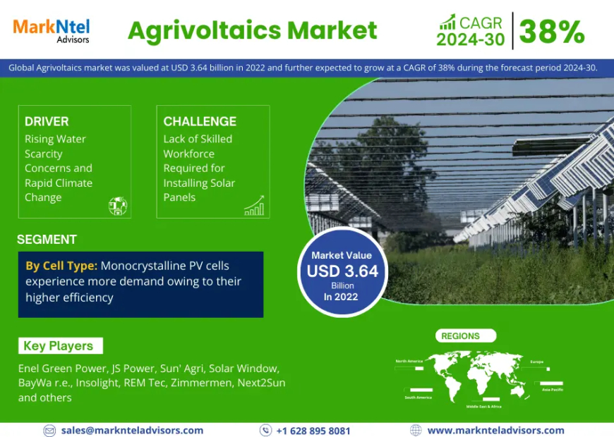 Agrivoltaics Market's USD 3.64 billion Valuation in 2022 Propels it towards a 38% CAGR Triumph in the Coming Years