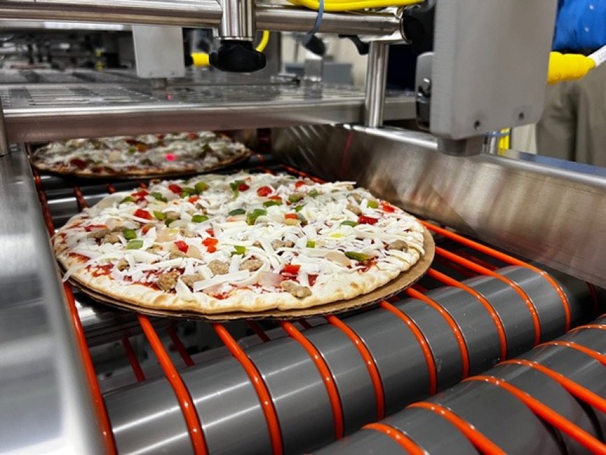 Raw Material Requirements for Setting Up a Frozen Pizza Manufacturing Plant
