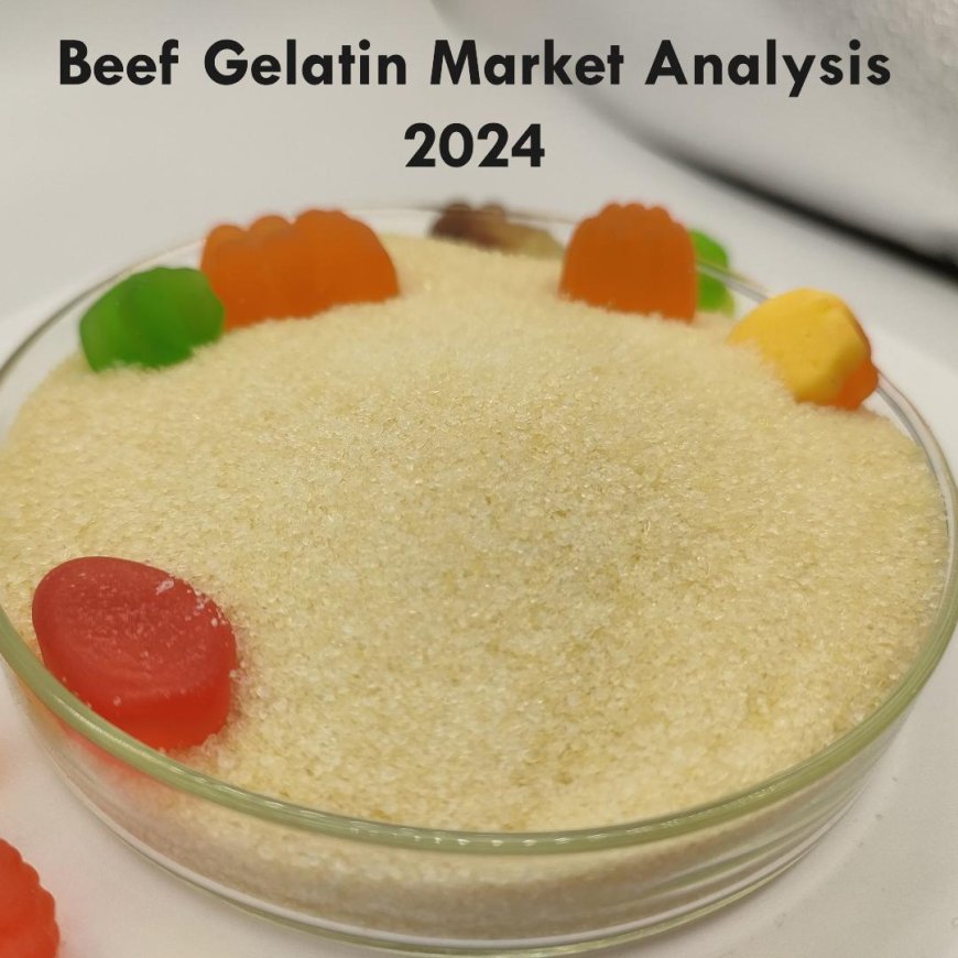 Growing Demand in the Beef Gelatin Market: Trends and Forecasts (2024–2034)