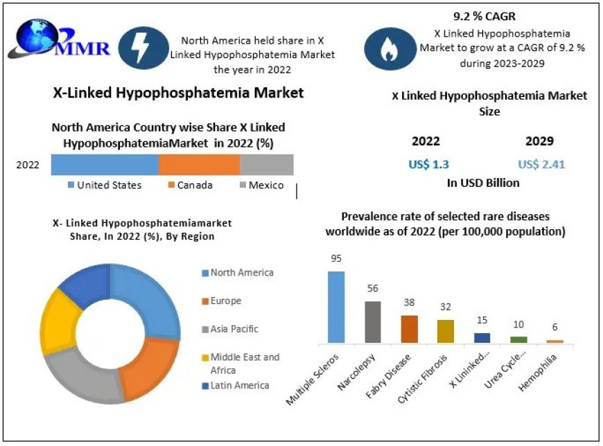 X-Linked Hypophosphatemia Market  Industry Share , Competition Analysis, and Forecast 2029