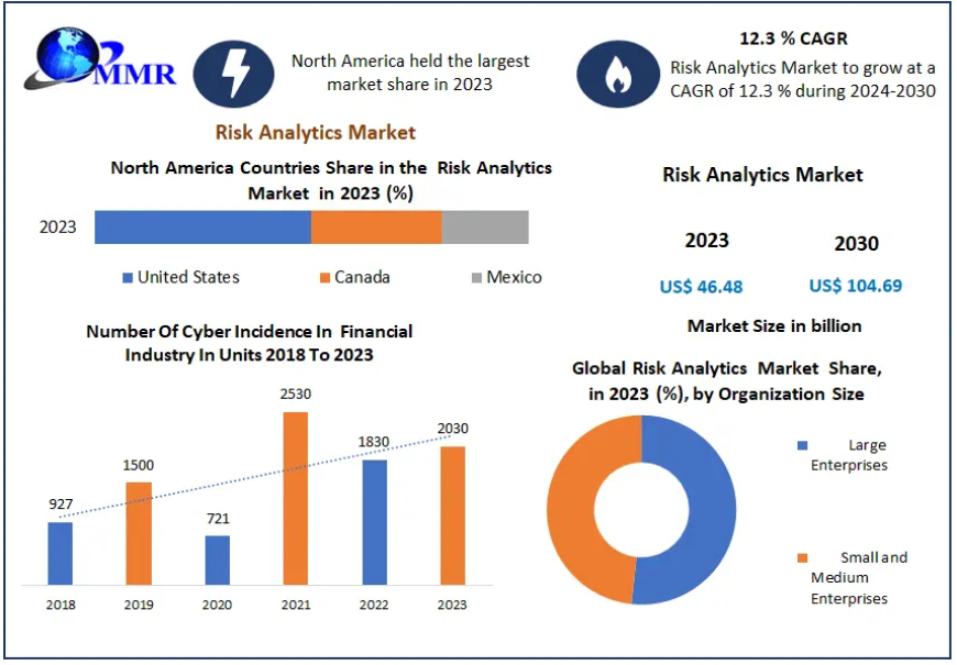 Risk Analytics Market Growth, Trends, Size, Future Plans, Revenue and Forecast 2030