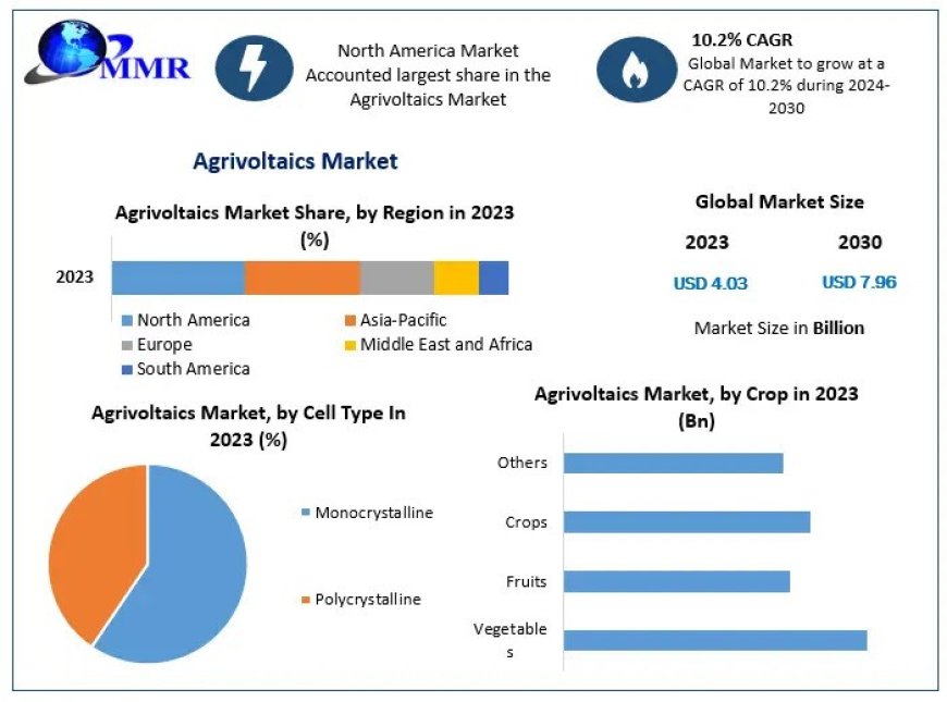 Agrivoltaics Market Size, Growth, key Player, share, Demand, Opportunities & Forecast To 2030