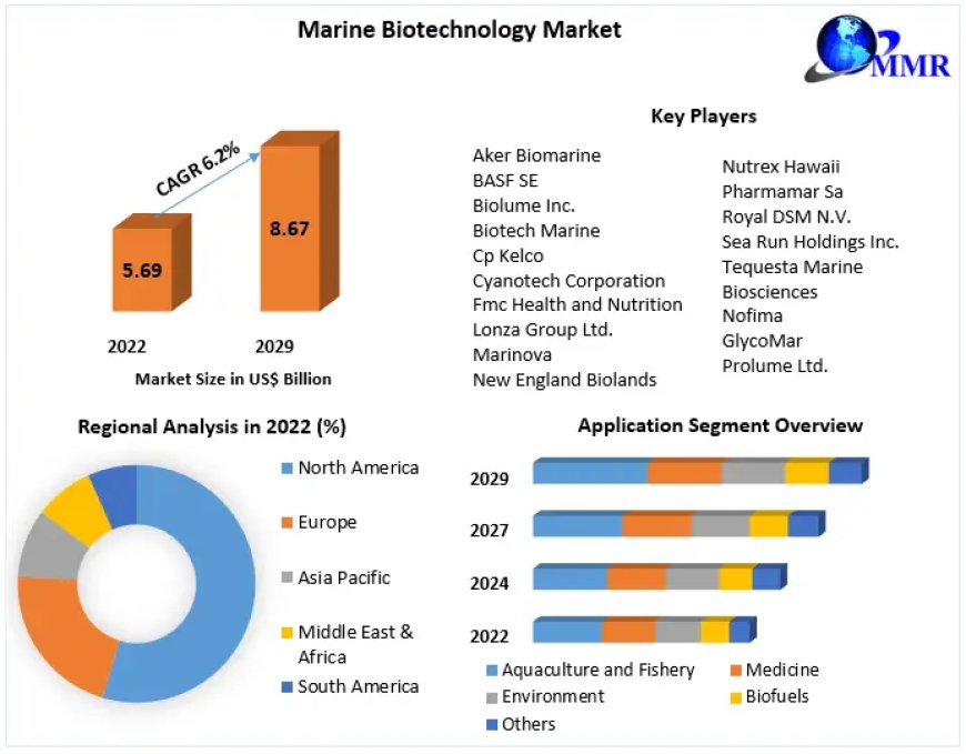 Marine Biotechnology Market Size,  share Leaders, Growth, Business, Opportunities, Future Trends And Forecast 2029