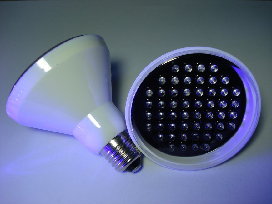 Microsecond Flash Lamp Market Analysis, Size, Share, Growth, Trends, and Forecasts 2023-2030