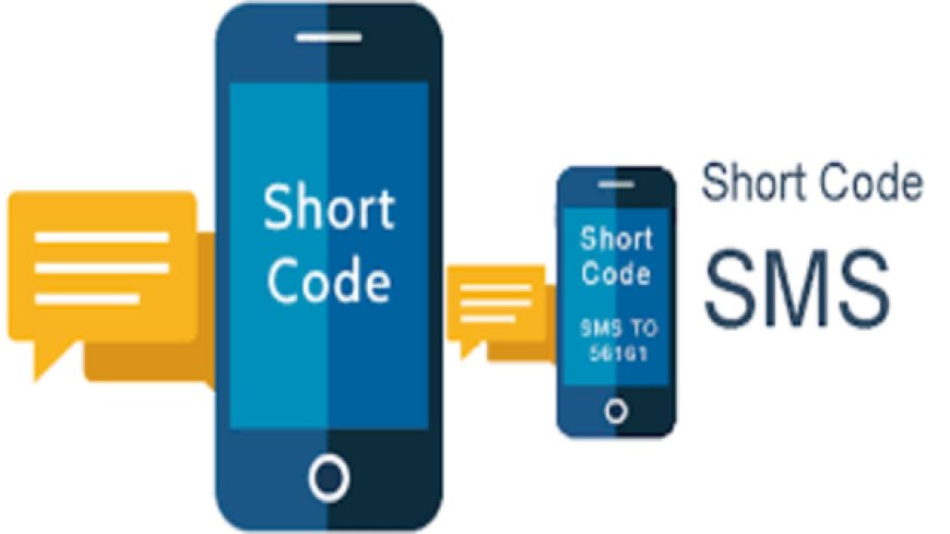 Optimizing message Delivery for Limited Storage: Short Code SMS  Services