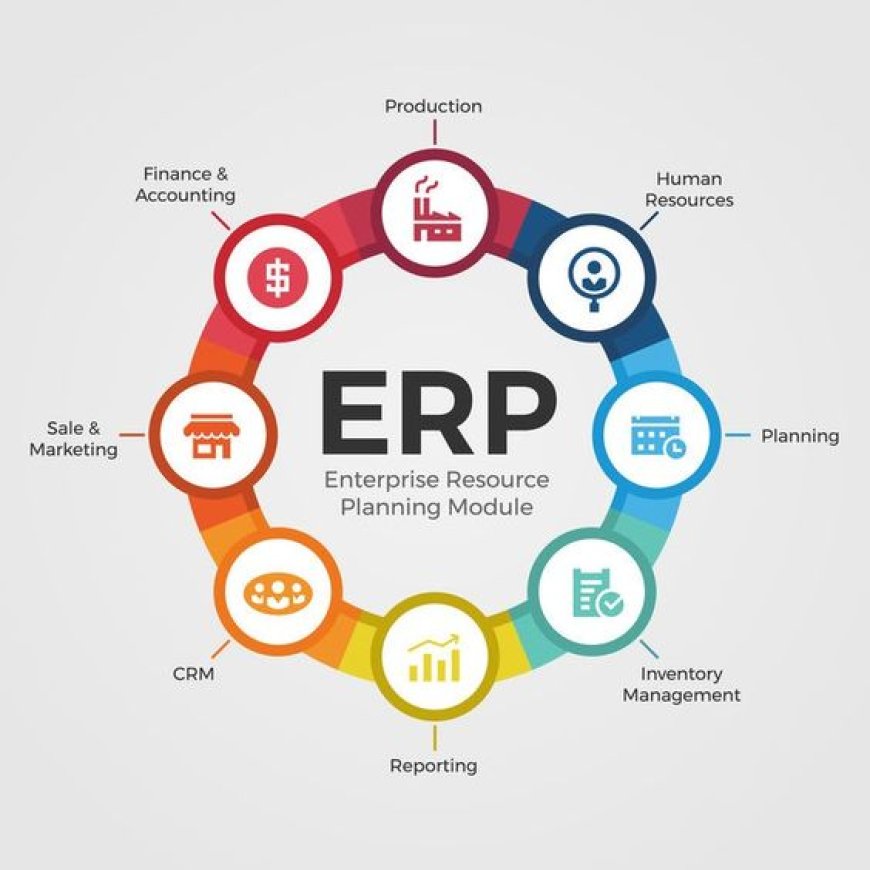 Infor ERP Consulting Market Size to Reach USD 15.5 Million by 2033