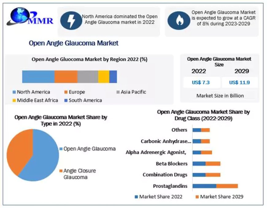 Open Angle Glaucoma Market estimates & forecast by application, size, production, industry share, consumption, trends and forecast 2029