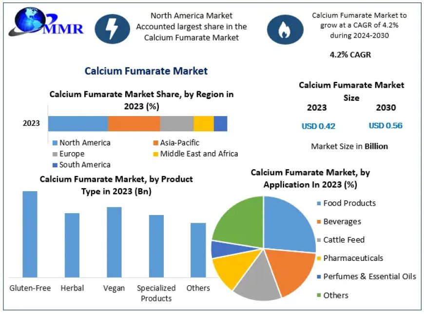 Calcium Fumarate Market Highlights and Forecasts to 2031