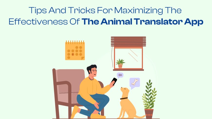 Tips and Tricks for Maximizing the Effectiveness of the Animal Translator App
