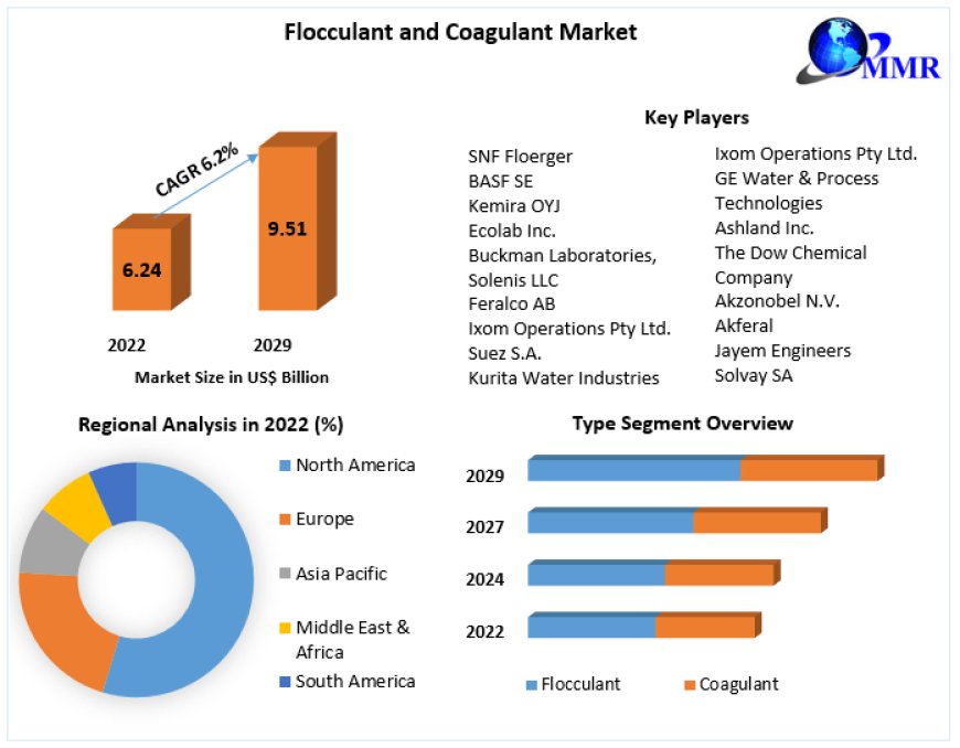 Flocculant and Coagulant Market  Analysis of Production, Future Demand, Sales and Consumption Research Report to 2029