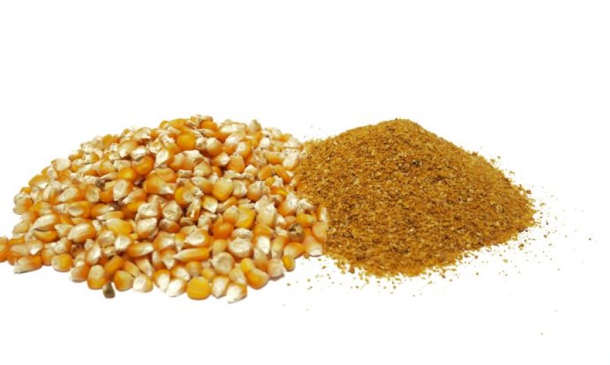 Global Feeding Distiller Dried Grains with Solubles Market to Witness 4.8% CAGR from 2018–2028