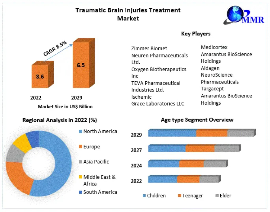 Traumatic Brain Injuries Treatment Market Recent Developments : Industry Trends and Investigation Growth Rate 2029