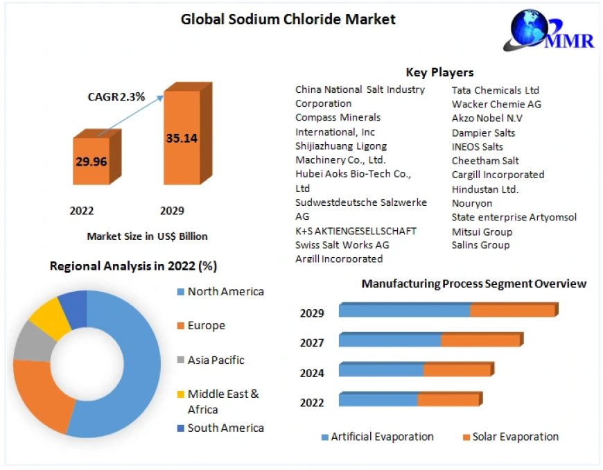 Sodium Chloride  Market 2022-2029: Innovations Driving Seamless Communication Solutions