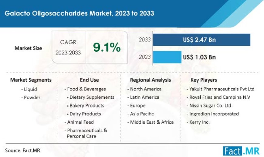 Galacto Oligosaccharides Market Analysis: Anticipated Growth to US$ 2.47 Billion with 9.1% CAGR by 2033