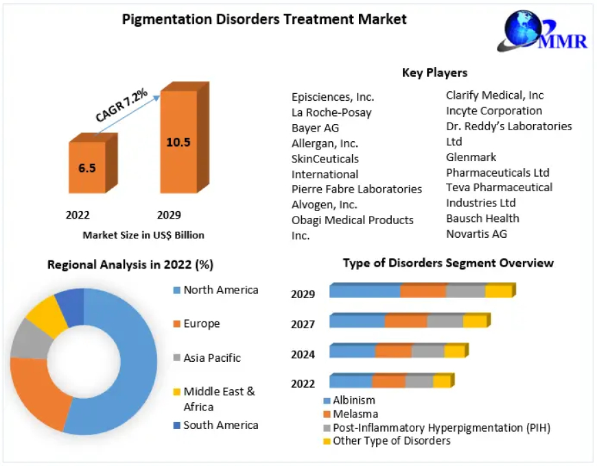 Global Pigmentation Disorders Treatment Market Business Revenue by Leading Competitors And Forecast 2029