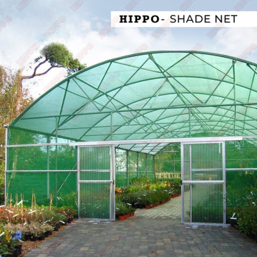 Optimize Your Garden with Green Net Roll: UV Protection & Shade Solution