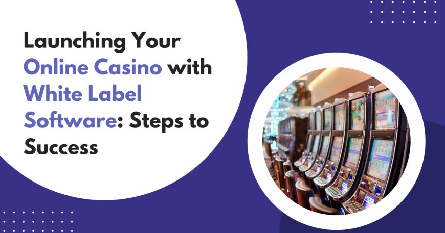 Launching Your Online Casino with White Label Software: Steps to Success