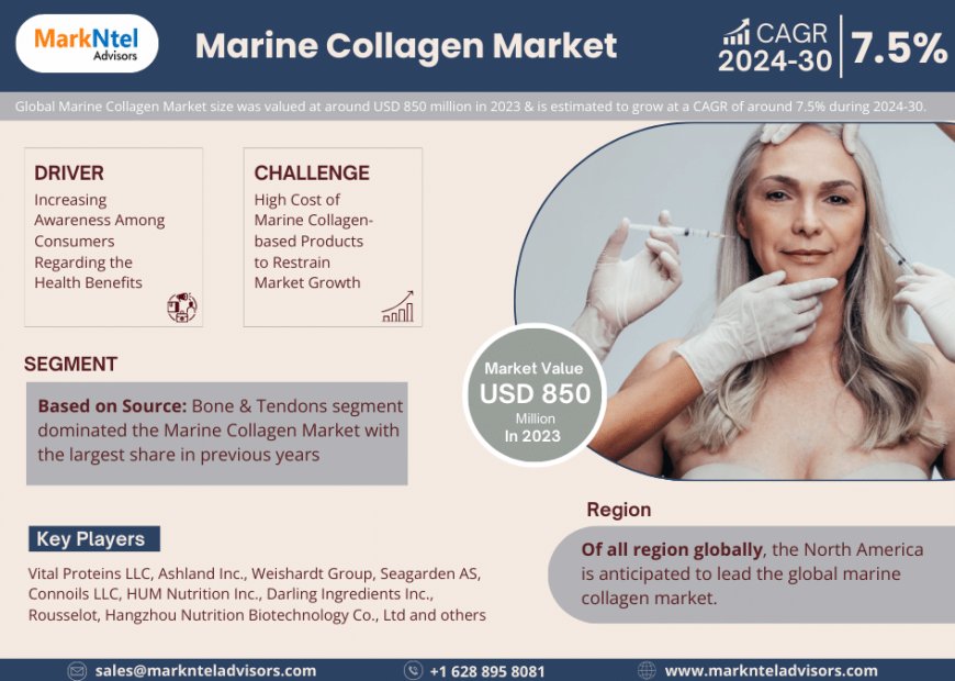 Marine Collagen Market Growth, Trends, Revenue, Size, Future Plans and Forecast 2030