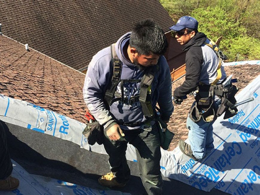 Essential Home Services in Kalamazoo: Gutters, Insulation Contractors, and Flat Roof Repair!