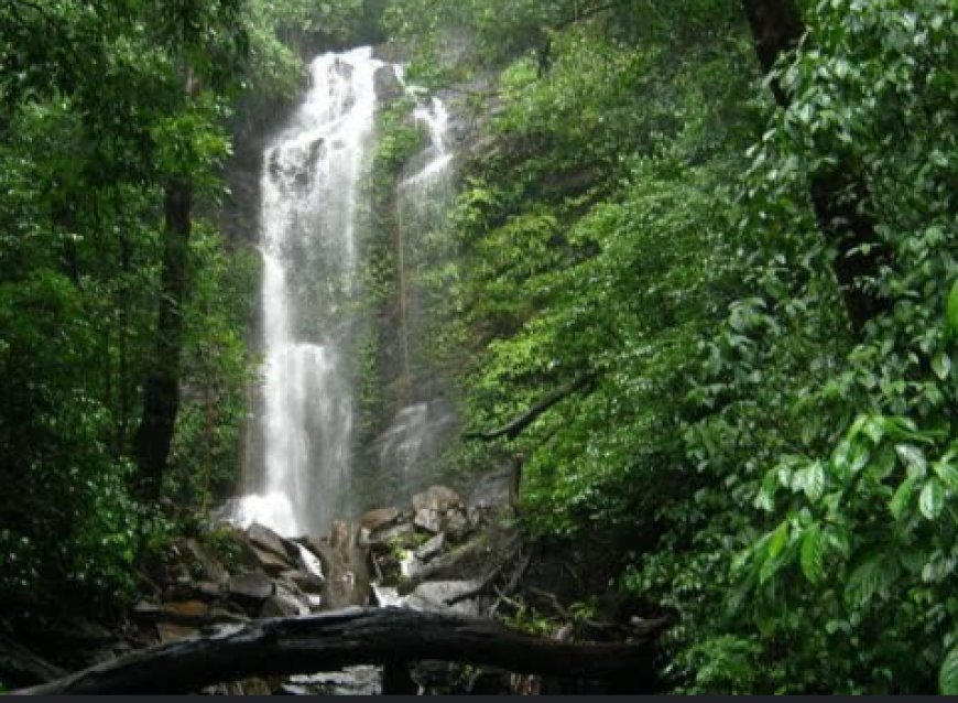 Exploring the Majestic Arasinagundi Falls