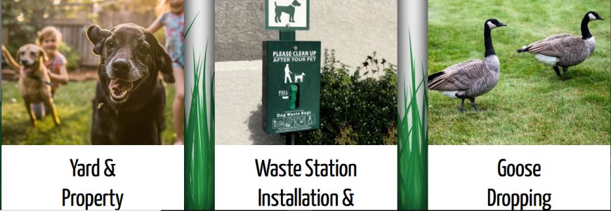 Keeping Kalamazoo Clean: The Rise of Pet Waste Removal Services!