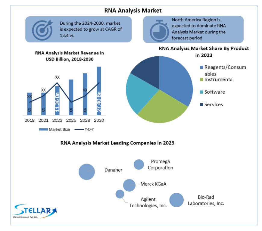 RNA Analysis Market Share Analysis, Trends, Competitive Analysis and Forecast by 2030