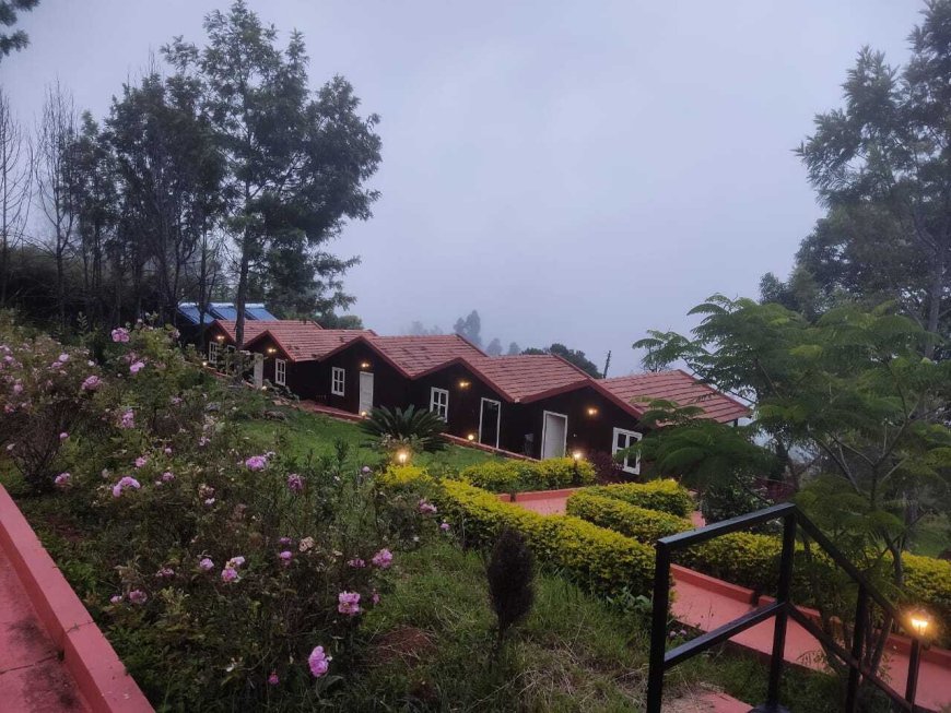 Best Hotels in Ooty with Hill View - Pandora Hill Resort