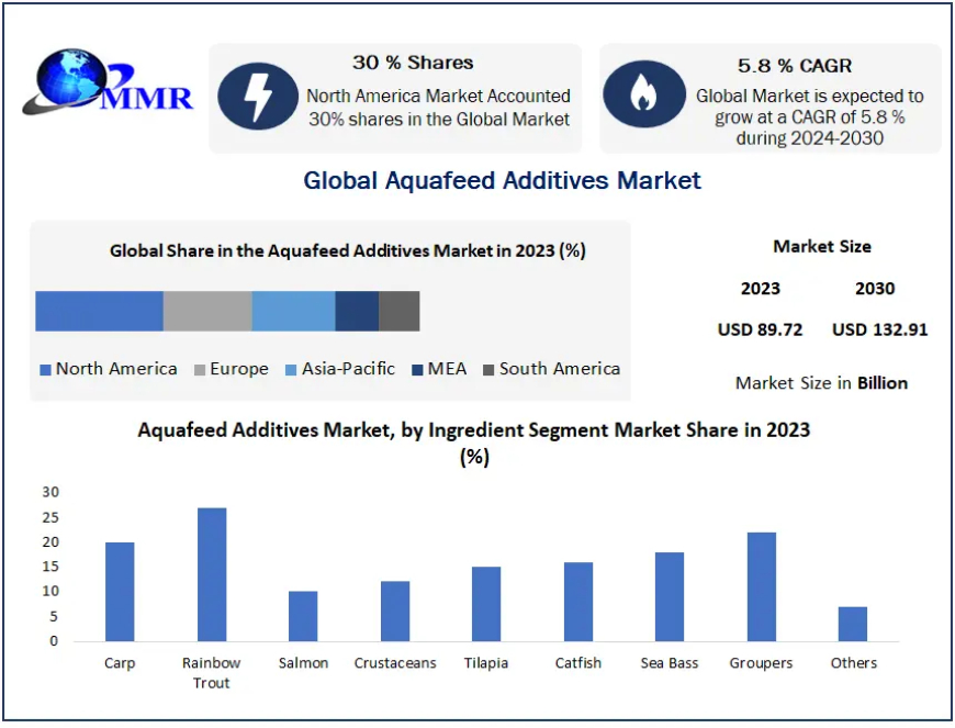 Market Forecast for Aquafeed Additives: Key Insights and Trends (2024-2030)