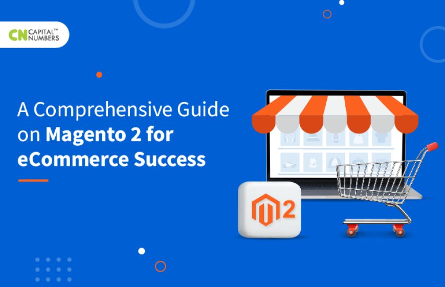 Top Tips for Successful Magento eCommerce Development
