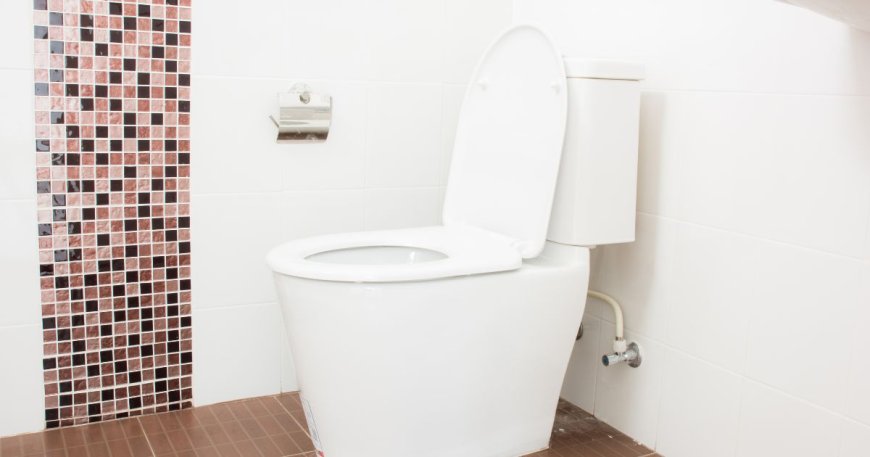 Shaping the Future: Trends and Growth Prospects in the Sanitary Ware Market