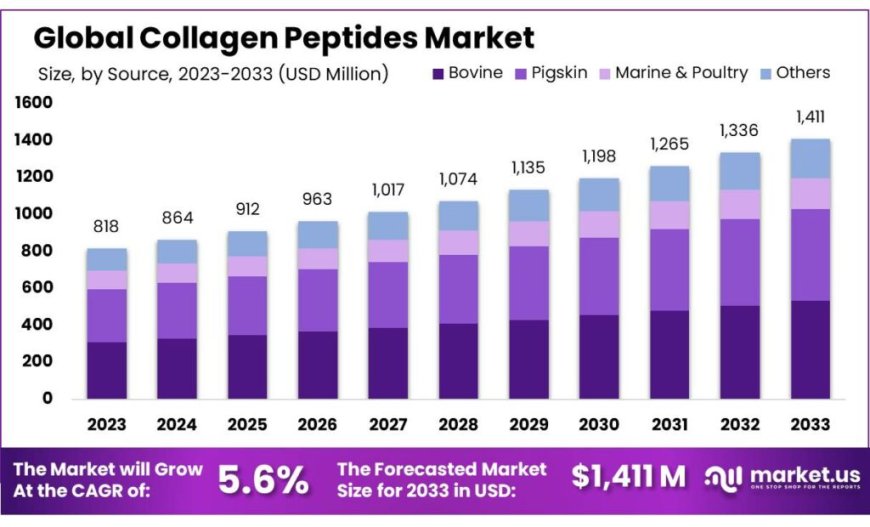 Collagen Peptides Market Expansion Fueled by Nutraceutical Innovations