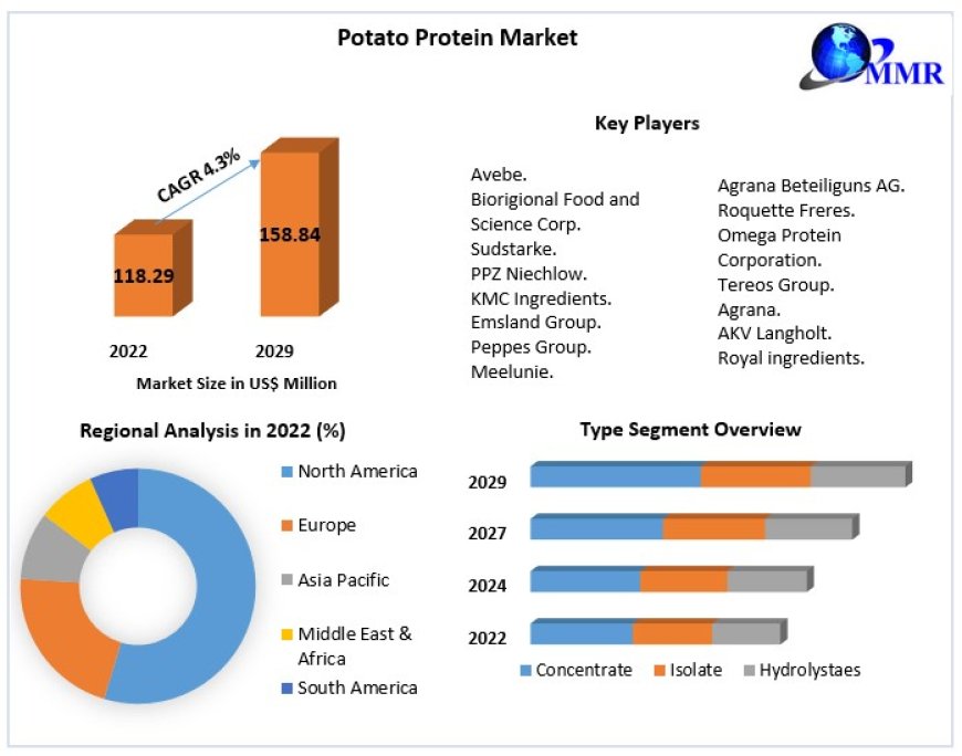 Potato Protein Market Industry Analysis by Manufacturers, Type, Application, Regions and Forecast to 2029