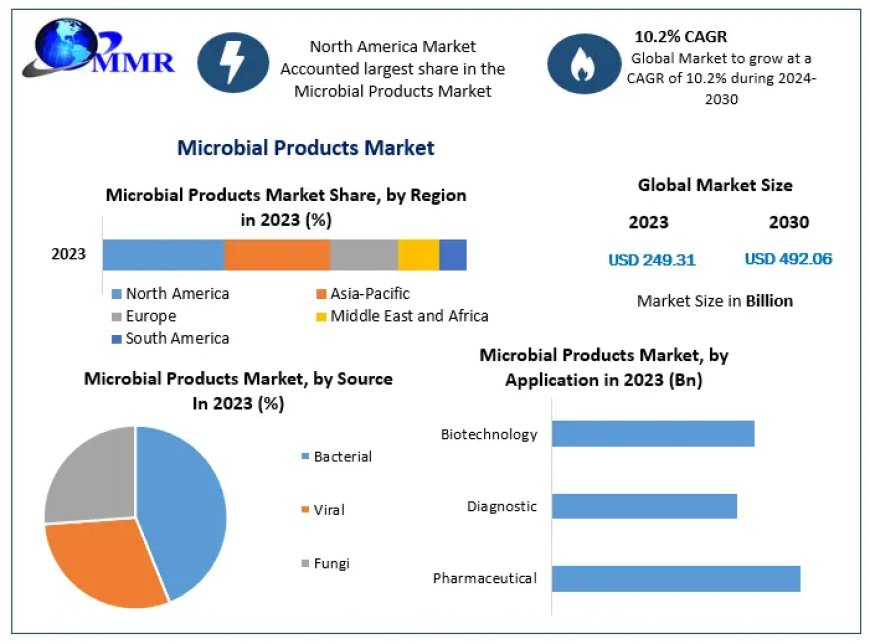 Microbial Products Market Business Strategies, Revenue and Growth Rate Upto 2029