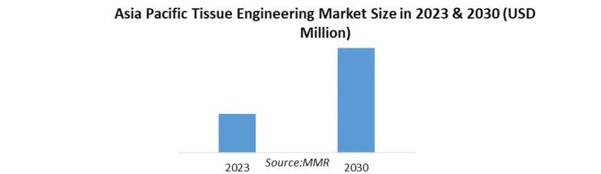 Tissue Engineering Market Perspective,  Analysis, and Forecast 2030.