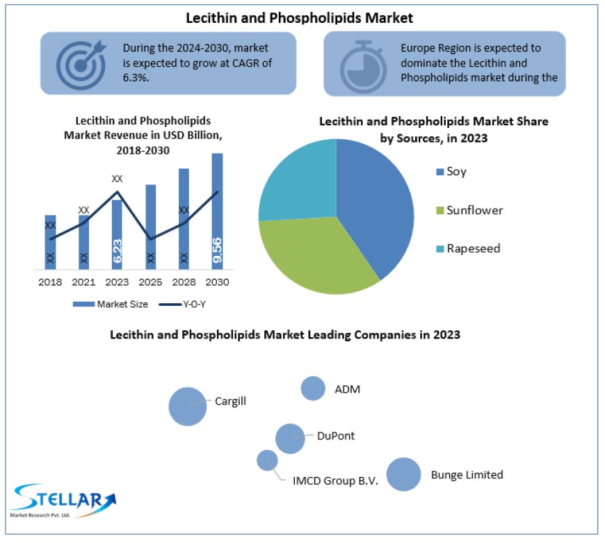 Lecithin and Phospholipids Market Research Covers, Future Trend, Analysis And Forecast 2030