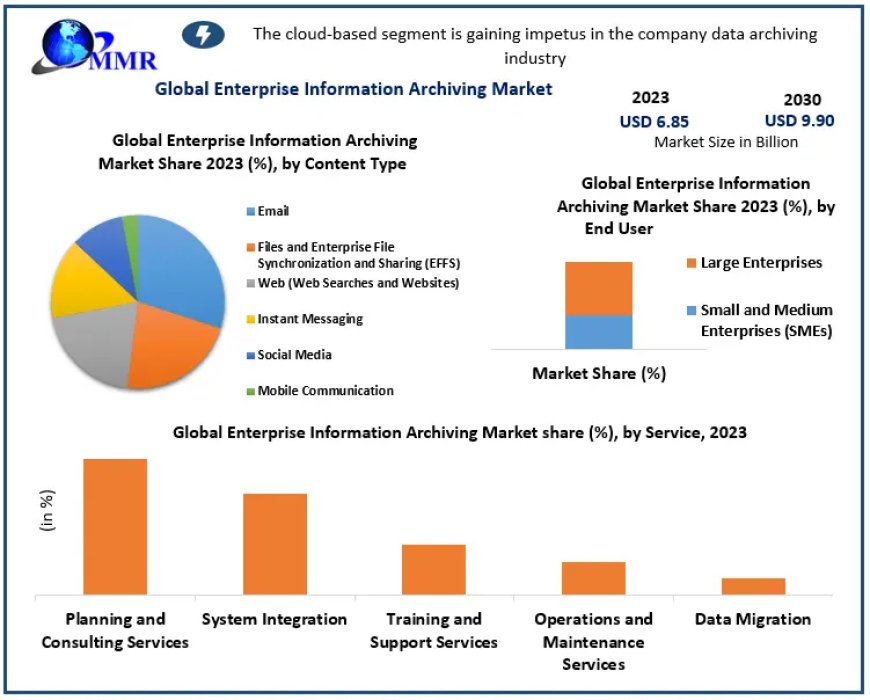 Enterprise Information Archiving Market Future Growth, Competitive Analysis and Forecast 2029