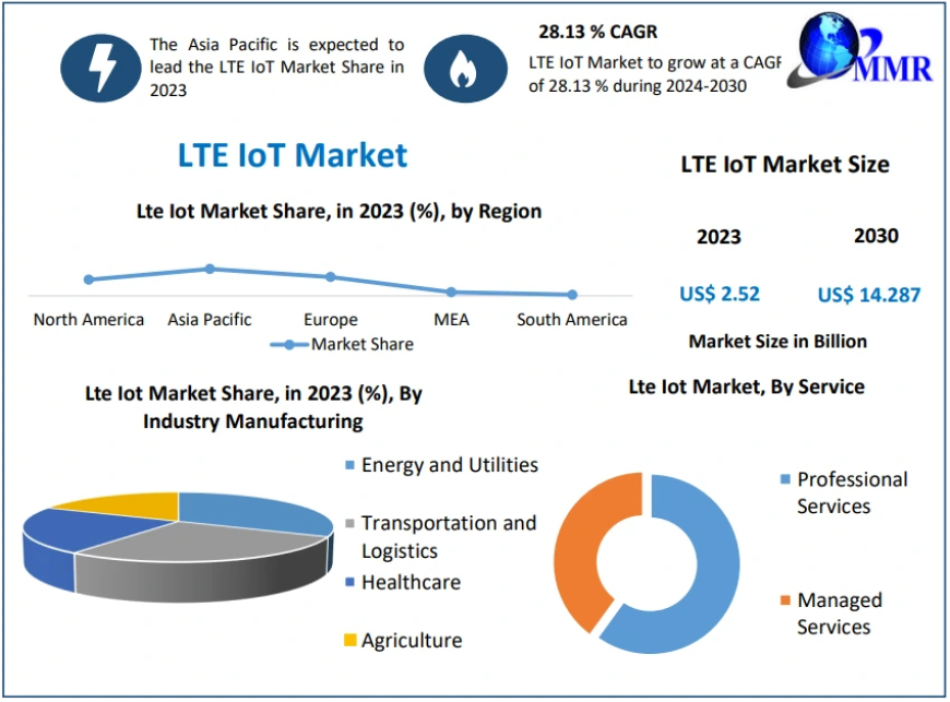 LTE IoT Market Global Production, Growth, Share, Demand and Applications Forecast to 2030.