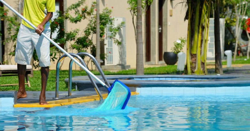How to Deal with Green Algae in the Pool: Pool Cleaning Experts
