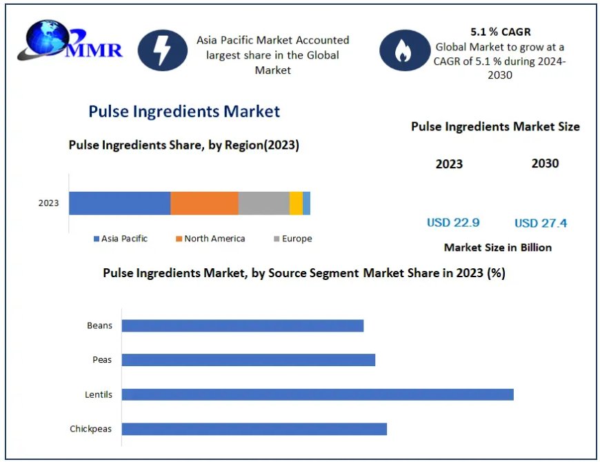 Pulse Ingredients Market Global Outlook and Forecast 2021-2029