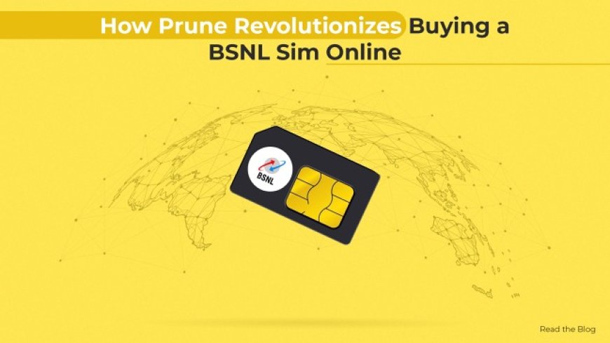 How Prune Revolutionizes Buying a BSNL SIM Online