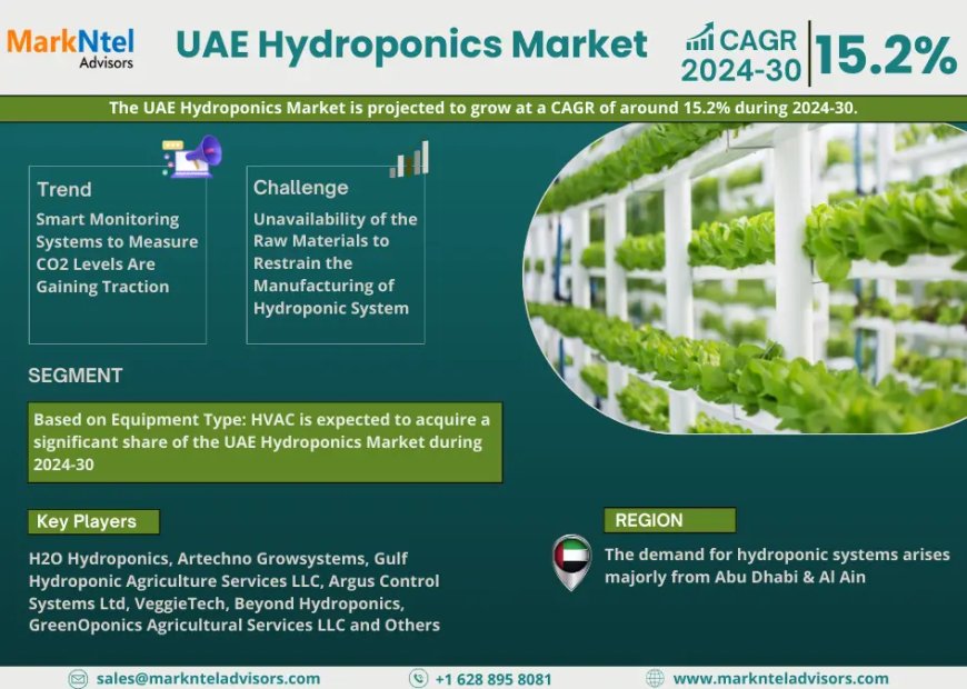 UAE Hydroponics Market Scope, Size, Share, Growth Opportunities and Future Strategies 2030: MarkNtel Advisors