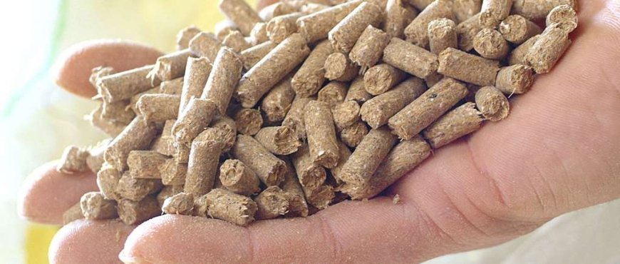 Dog Food Manufacturing Plant Setup Report: Machinery Requirements, Raw Materials and Business Plan