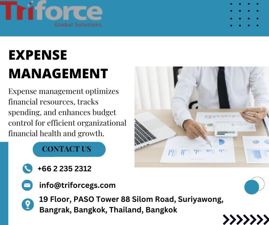 Streamlining Expense Management with SAP Enterprise Resource Planning Solutions