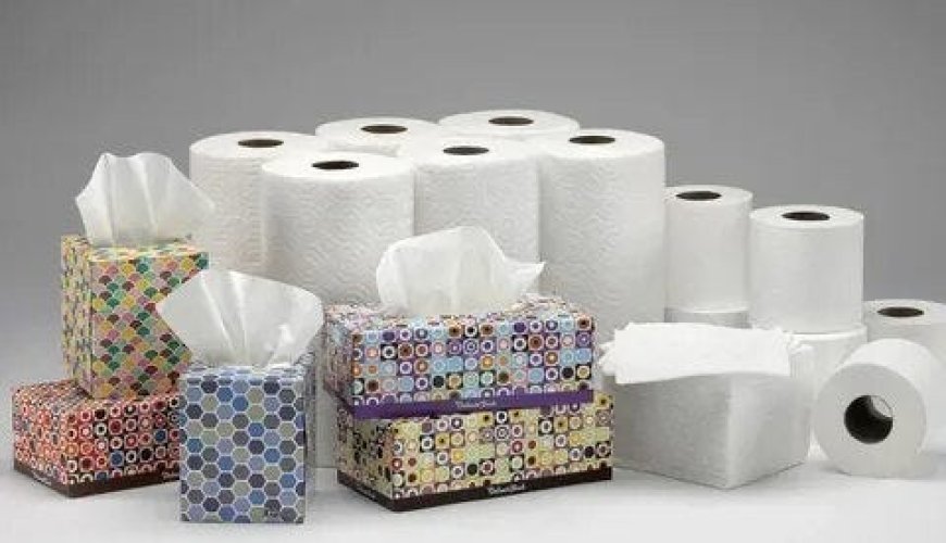 Commercial and Residential Tissue Paper Market Insights on Current Scope 2030