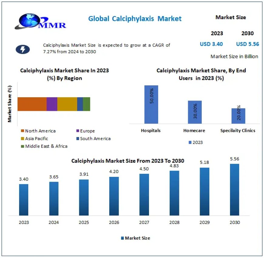 Calciphylaxis Market booming Worldwide Opportunity, Upcoming Trends & Growth Forecast 2024-2030