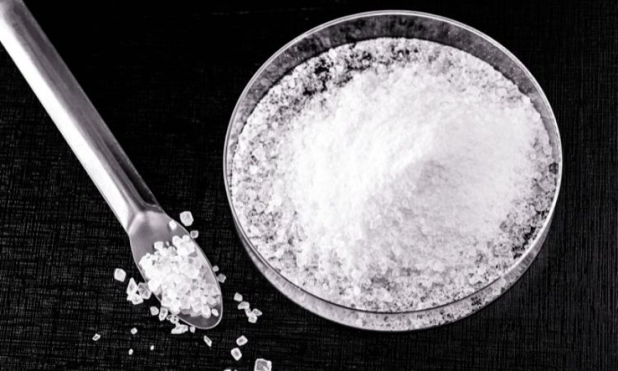 Potassium Chlorate Market: Key Insights and Future Outlook
