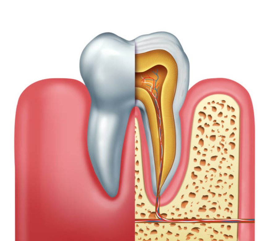 Understanding Root Canal Treatment: What You Need to Know