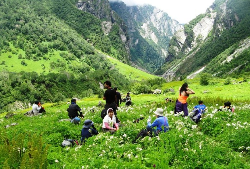 Exploring the Majestic Valley of Flowers: A Journey into Nature's Paradise