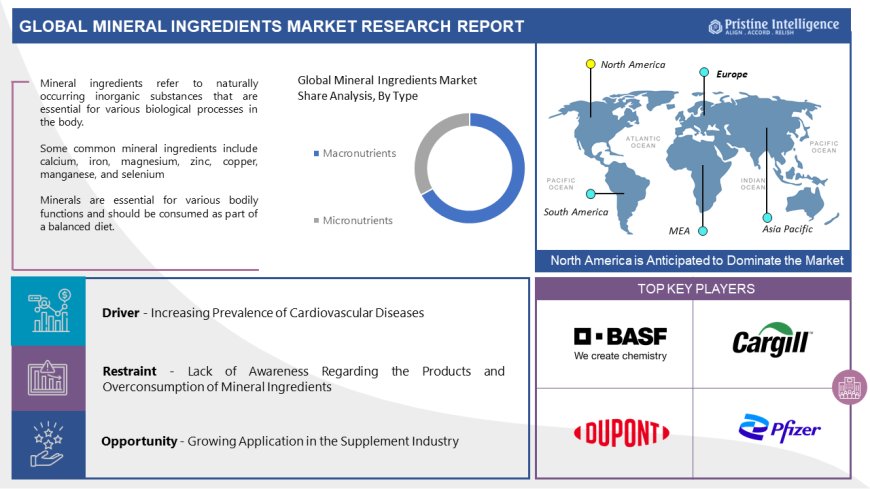 Mineral Ingredients Market Forecast 2024-2032 - Major Trends, Segments And Fastest Growing Regions